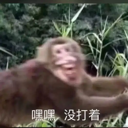 黑炭表情包的小男孩沙雕