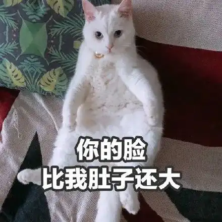搞笑表情包我们去做快乐的事