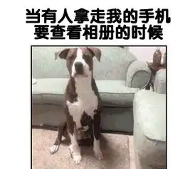 三团表情包什么动物搞怪