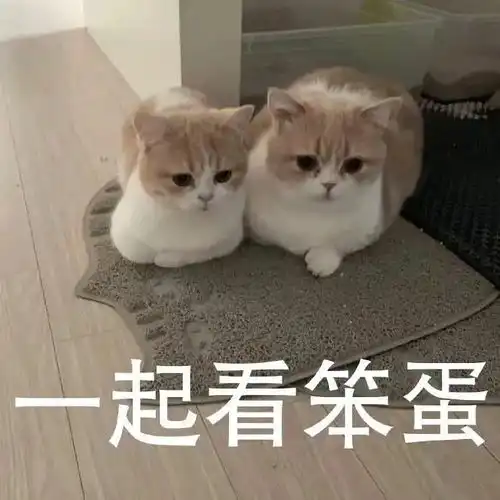 姐妹们但凡我谈了恋爱都要原地旋转360度向你们比...