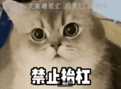 新版十八禁看好了别眨眼禁止凶我禁止抬杠图片表情包动态聊天抖音热门