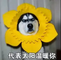 表情包抖音很火的满屏爱心表情