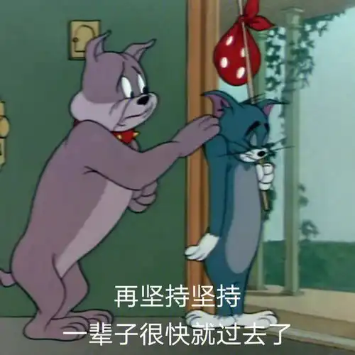表情包我这个小老鼠看到了什么