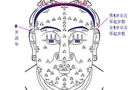 玄灵阁面相财运关看你一生运势详解实用篇