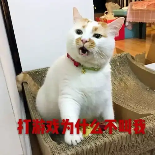 同大最强版寒假修仙记你打算修到哪级