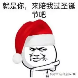 今年圣诞,给你点不一样