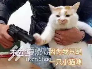 虐死我表情包放下手机