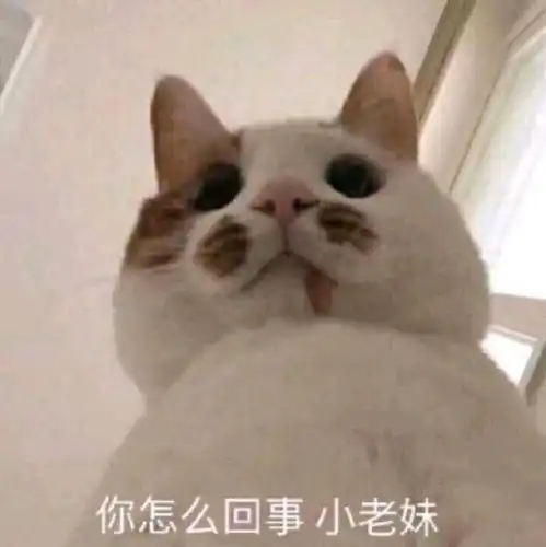 图搞笑表情沙雕