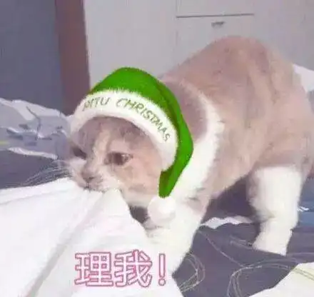 圣诞节表情包系列今夜