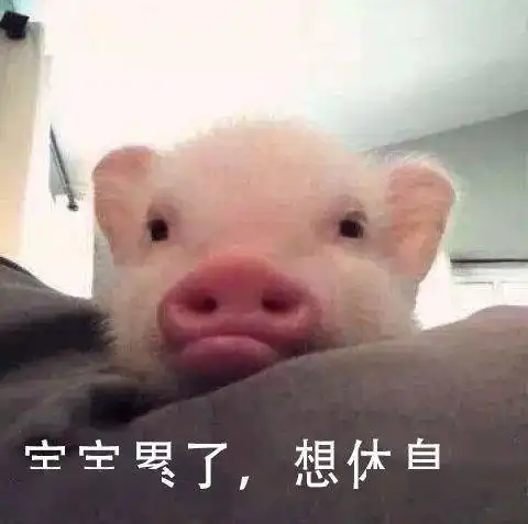 奇趣事务所盘点那些有趣又奇葩的地名