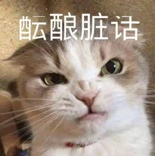 猫咪陪睡招工丨111期喵表情