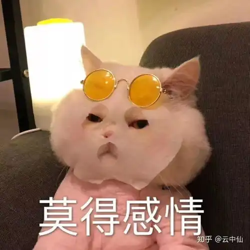 你的人生境界达到了什么地步