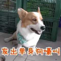 丧表情包我的快乐已经不在,一起当个垃圾好吗