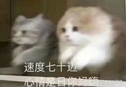 长期不谈恋爱是什么感觉
