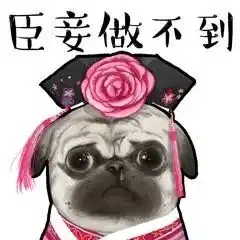 大热天,真的不想生病