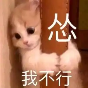 小猫捂头表情包