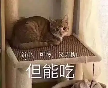 佛系青年的5个必备素质,你具备几项