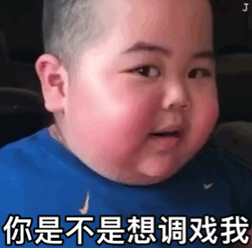 表情包不要试图和我讲道理,我就是道理