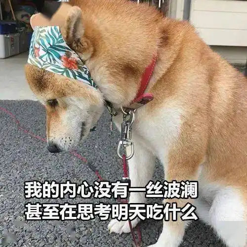 4月17日深圳无新增病例