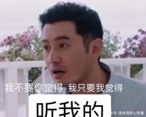 既然中餐厅4正在播放