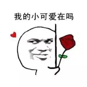 撩妹专用表情包快上车