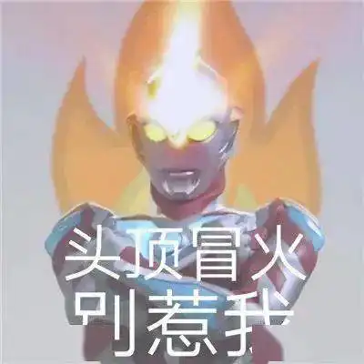 呼叫臭猪