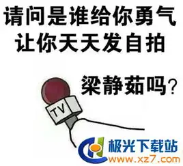 谁给你的勇气梁静茹吗表情包下载谁给你的勇气梁静茹吗表情包高清无水印极光下载站