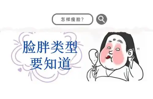 大脸女孩逆袭记四种脸胖你属于哪种