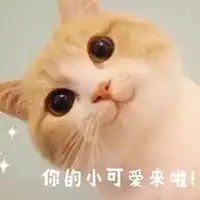 突然冒出来的表情包