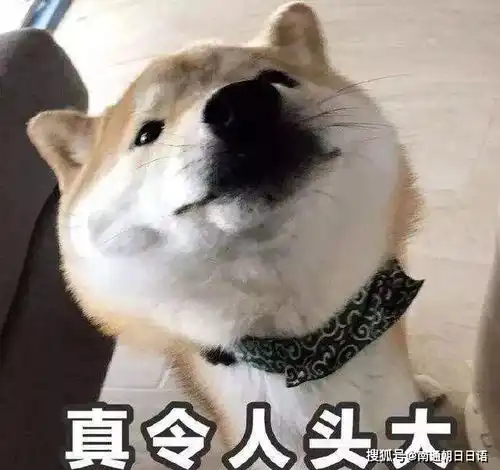 小猫卖萌表情包沙雕