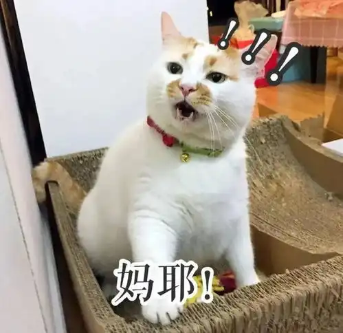 比起病毒和消毒,你还应该关心这些要命的小事