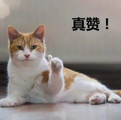 答题赢红包2021年人民调解法线上宣传有奖知识问答活动来啦