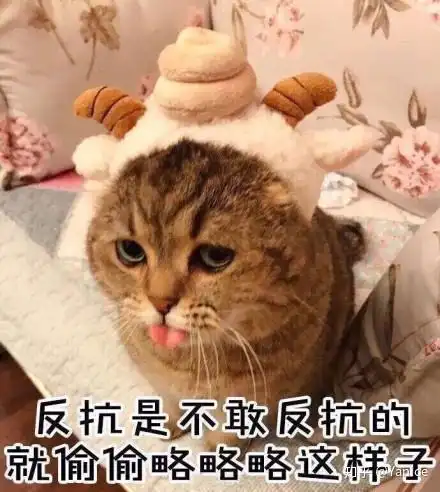 你有哪些压箱底的表情包