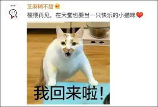 虐死我表情包猫咪