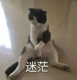 迷茫的表情包图片大全