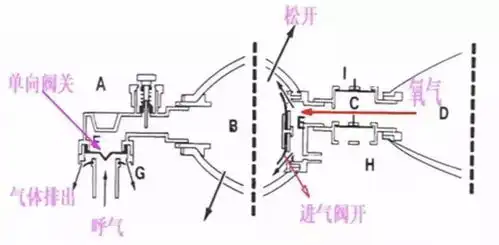 一文掌握简易呼吸器操作