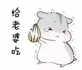 哄老婆表情包老婆大人对不起好喜欢老婆我老婆超级可爱
