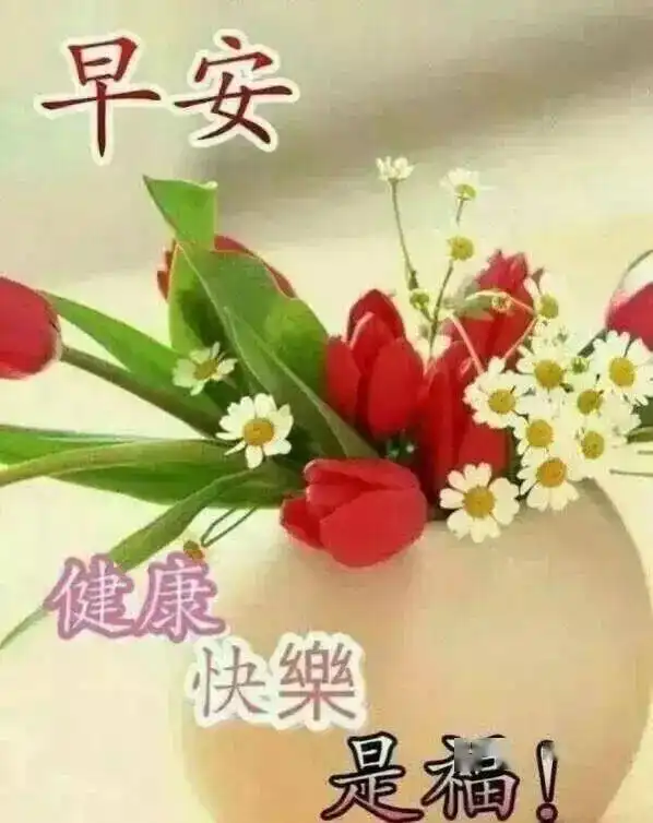 清晨最新版早上好温暖问候动态表情图片暖心的早上好阳光祝福图片