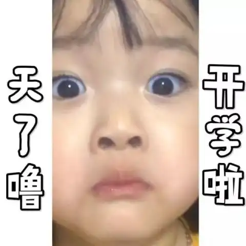 权律二的小女孩表情包开