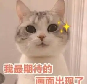 今晚蹲守他爱四美鉴渣大赏包包你满意