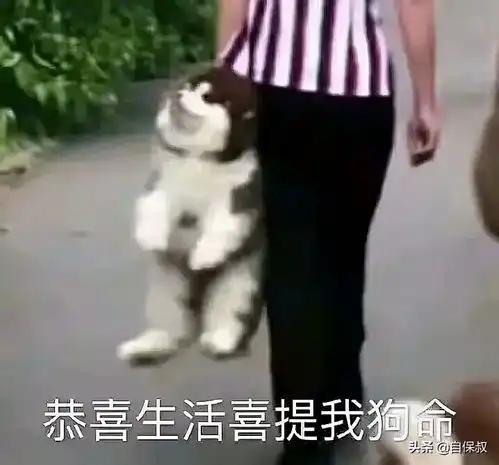 社保断缴一时爽,殊不知断缴火葬场自由职业者怎么买保险