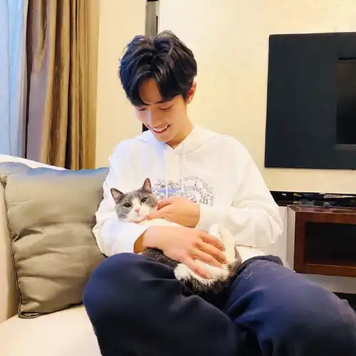肖战的猫坚果,深度诠释了一人得道,鸡犬升天