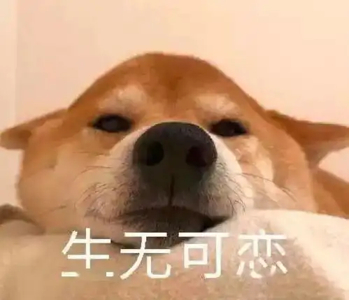 求求你表情包搞笑气泡狗