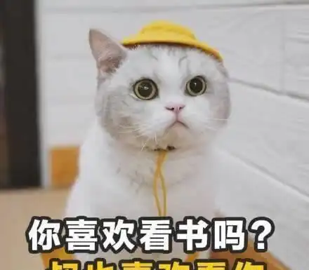 幽默段子这年头男人要是跟男人结婚,就会有两套房两辆车