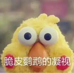 这两只炒鸡可爱的脆皮鸡一不小心成为中国鸡年的新一代网红可是人家明明是鹦鹉啊
