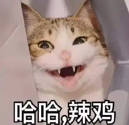 为啥你家猫要嚎叫