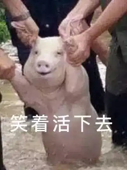 当你肥宅的时候,你关注的大v都跑到哪里旅游了