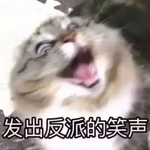 生活趣事挨催泪弹