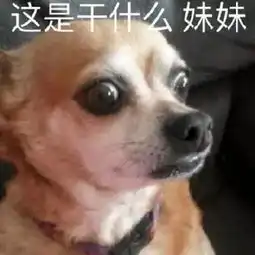 一天不看你们骚,我就难受
