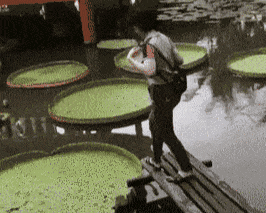 搞笑动态图自行车承受了这个年纪不该有的重量
